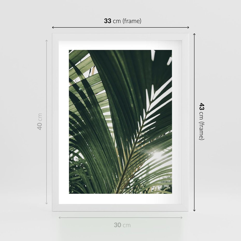 Plakat w ramie 30x40 - Tropikalne Uroki: Palmy i Zielone Liście - palmy, zielone liście - rama biała