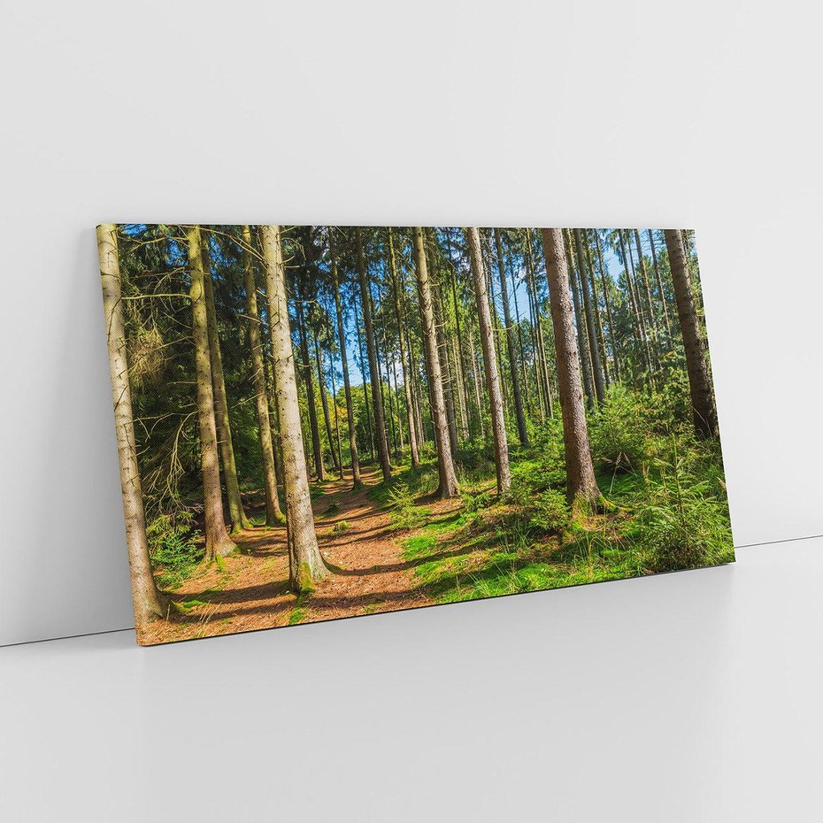 Obraz na płótnie 120x60 - Mistyfikacje lasu - las, drzewa