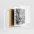 Plakat w ramie 40x50 - Magia Białego Tygrysa - biały, tygrys - rama biała