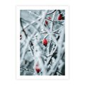 Plakat bez ramy 21x30 - Zima na Gałęziach - zima, oszronione gałęzie