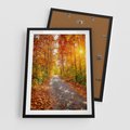 Plakat w ramie 50x70 - Kolorowe drzewa na ścieżce jesieni - las, jesień - rama czarna