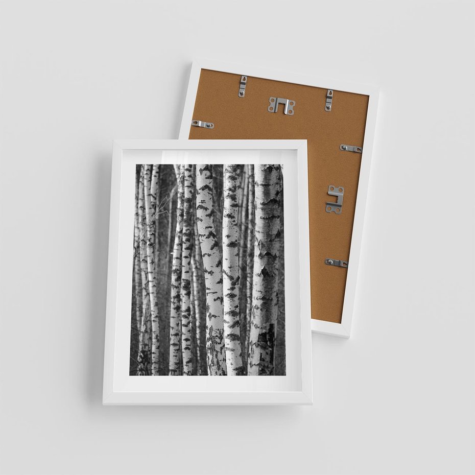 Plakat w ramie 30x40 - Kontrast Monochromatyczny - brzozy, czarno - rama biała