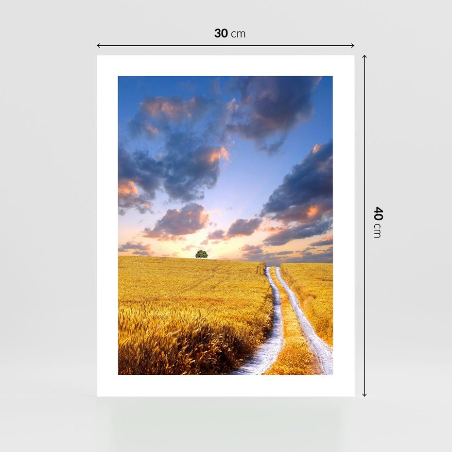 Plakat bez ramy 30x40 - Magiczna droga w lesie - droga, ścieżka