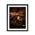 Plakat w ramie 40x50 - Gałęzie i Liść w Brązowej Tonacji - suche gałęzie, liść - rama czarna