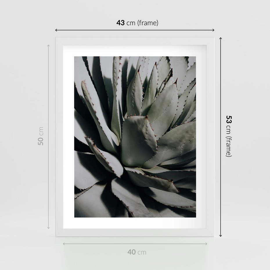 Plakat w ramie 40x50 - Egzotyczny Raj - sukulenty, kaktusy - rama biała
