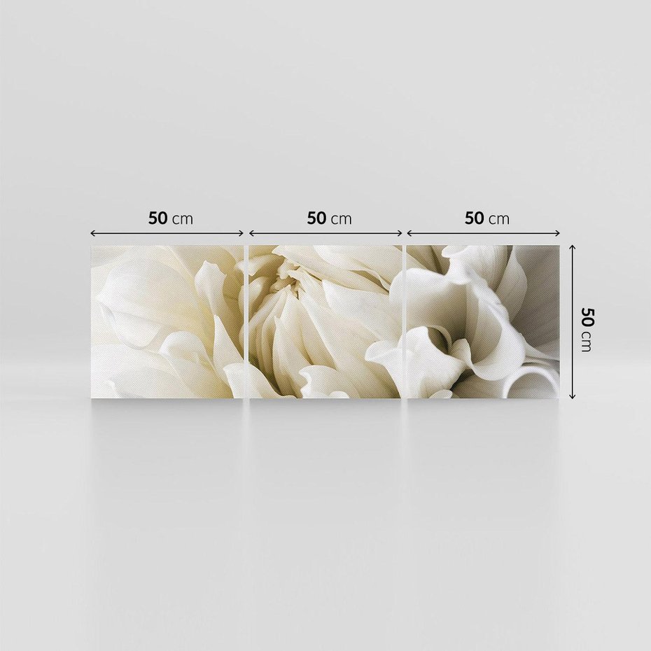 Obraz na płótnie 150x50 - Białe Kwiaty Delikatności - białe, kwiaty