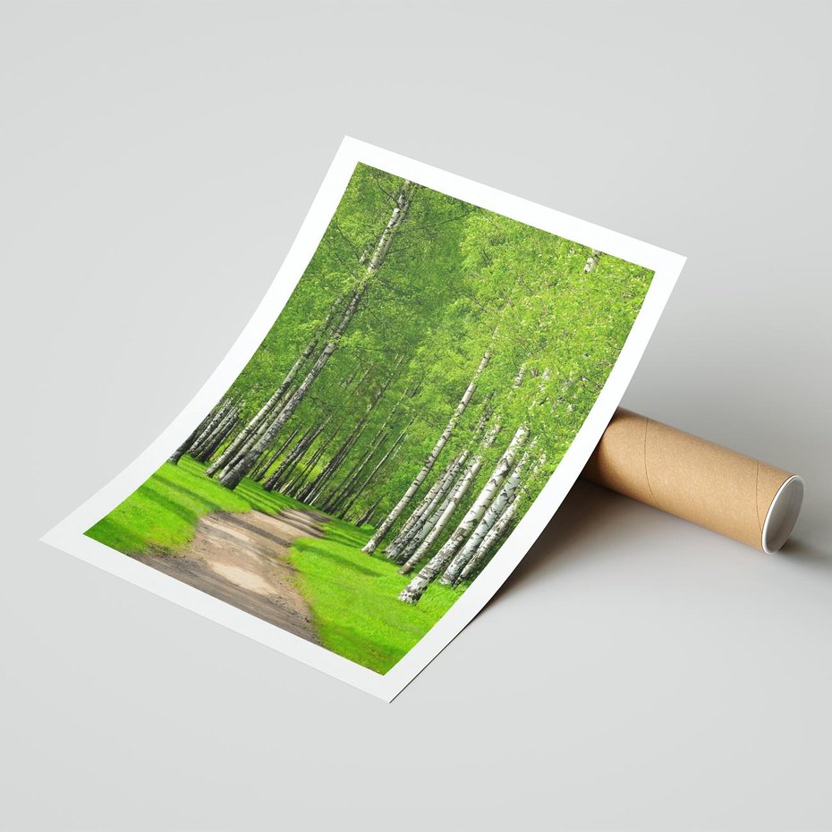 Plakat bez ramy 40x50 - Spacer Ścieżką w Urokliwym Lesie - las, ścieżka