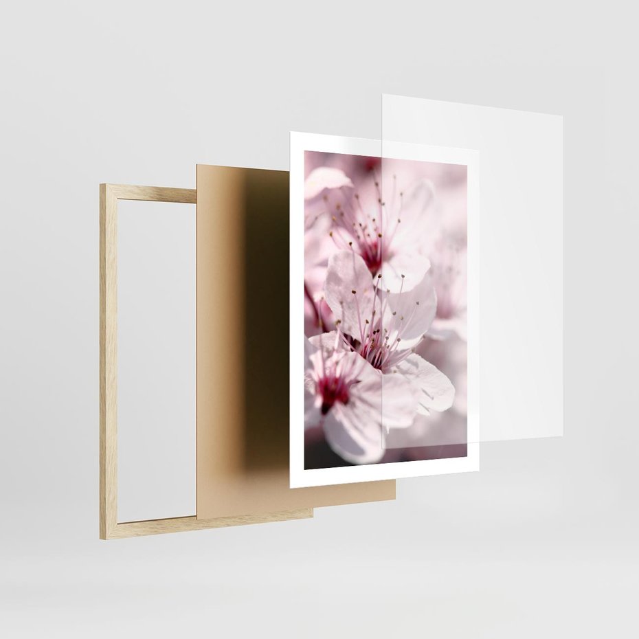 Plakat w ramie 50x70 - Kwitnąca Wiśnia - kwiaty, kwitnąca - rama drewno