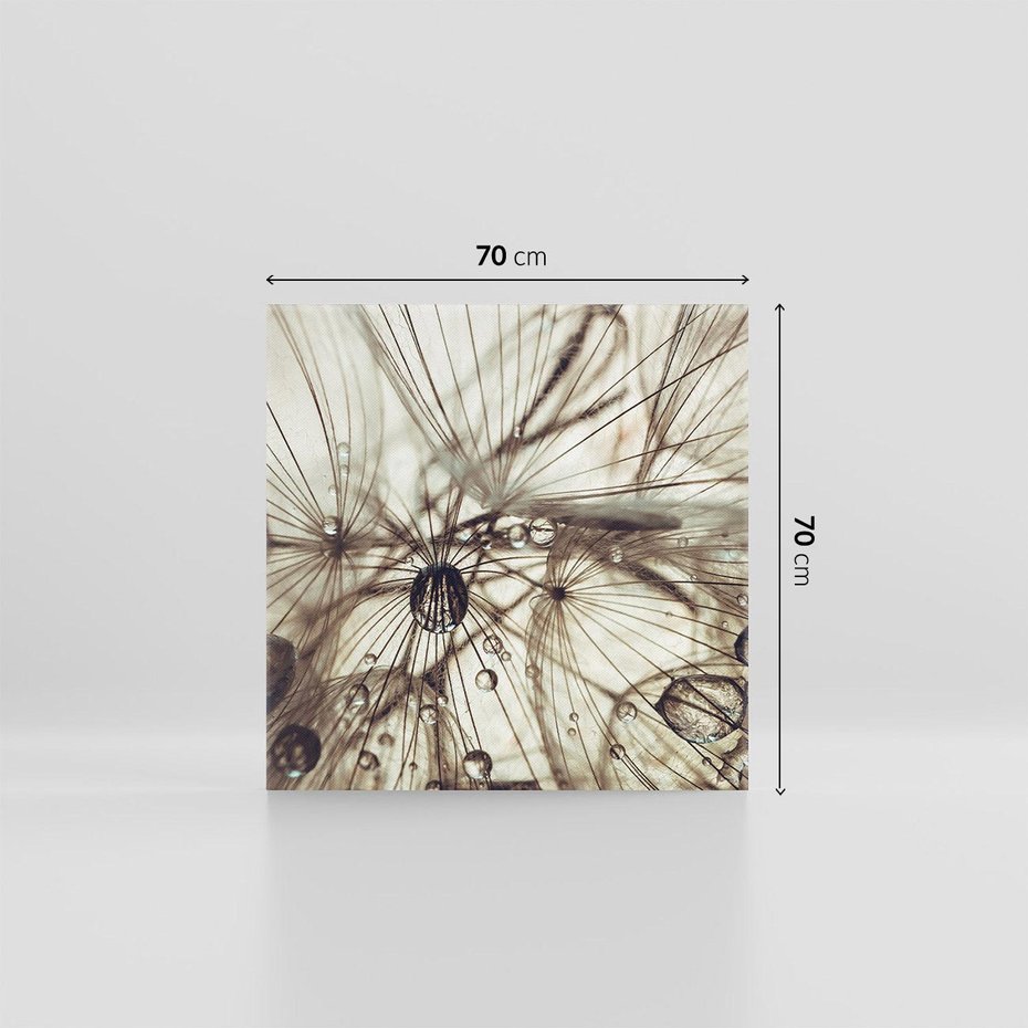 Obraz na płótnie 70x70 - Lekkie dmuchawce - dmuchawce, krople