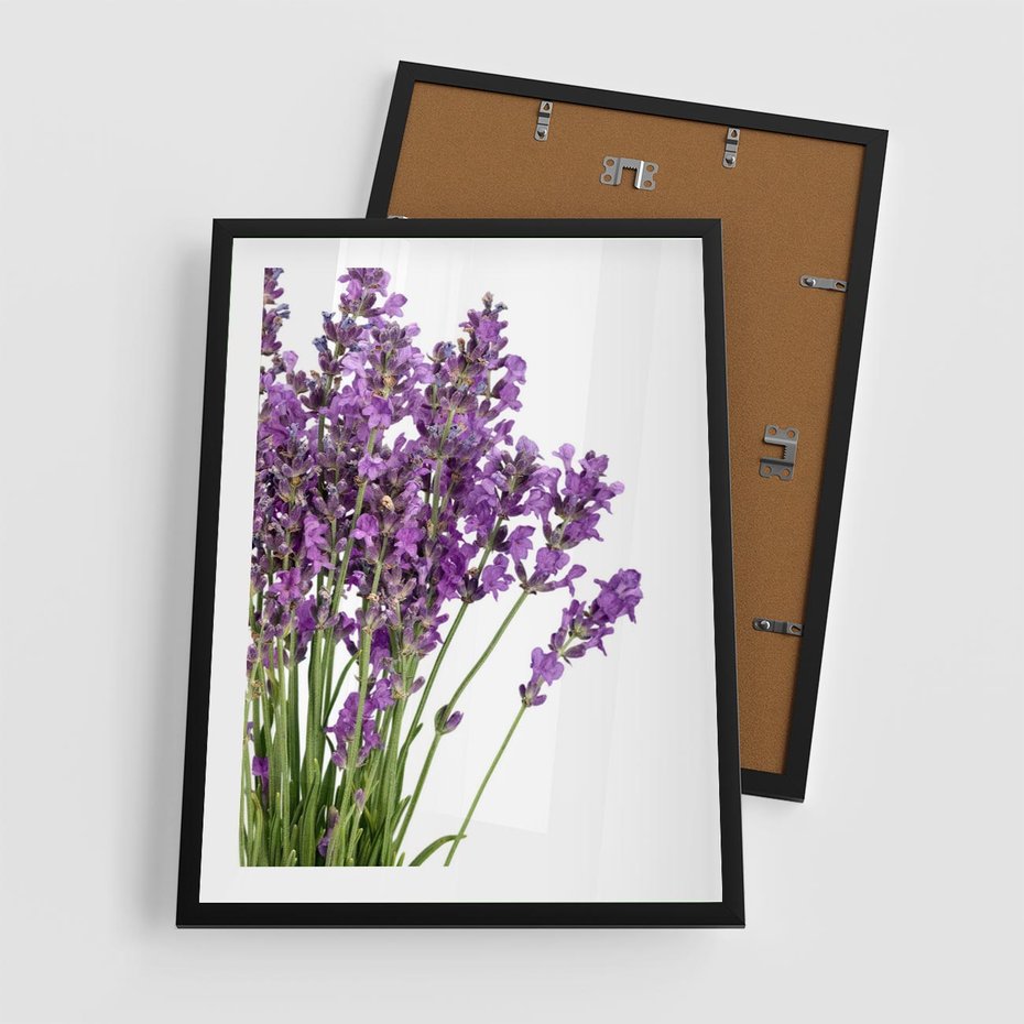 Plakat w ramie 50x70 - Pola lawendy w pełnym rozkwicie - lawenda, kwiaty - rama czarna