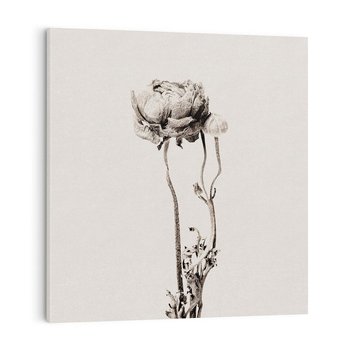 Obraz na płótnie 40x40 - Kwiatowa Symfonia w Szarościach - czarno biała odbitka, jak fotografia