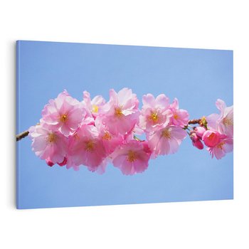 Obraz na płótnie 100x70 - Kwiatowy taniec kolorów - kwiat, kwiaty