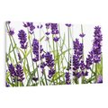 Obraz na płótnie 120x80 - Fioletowa harmonia lawendy - lawenda, fiolet