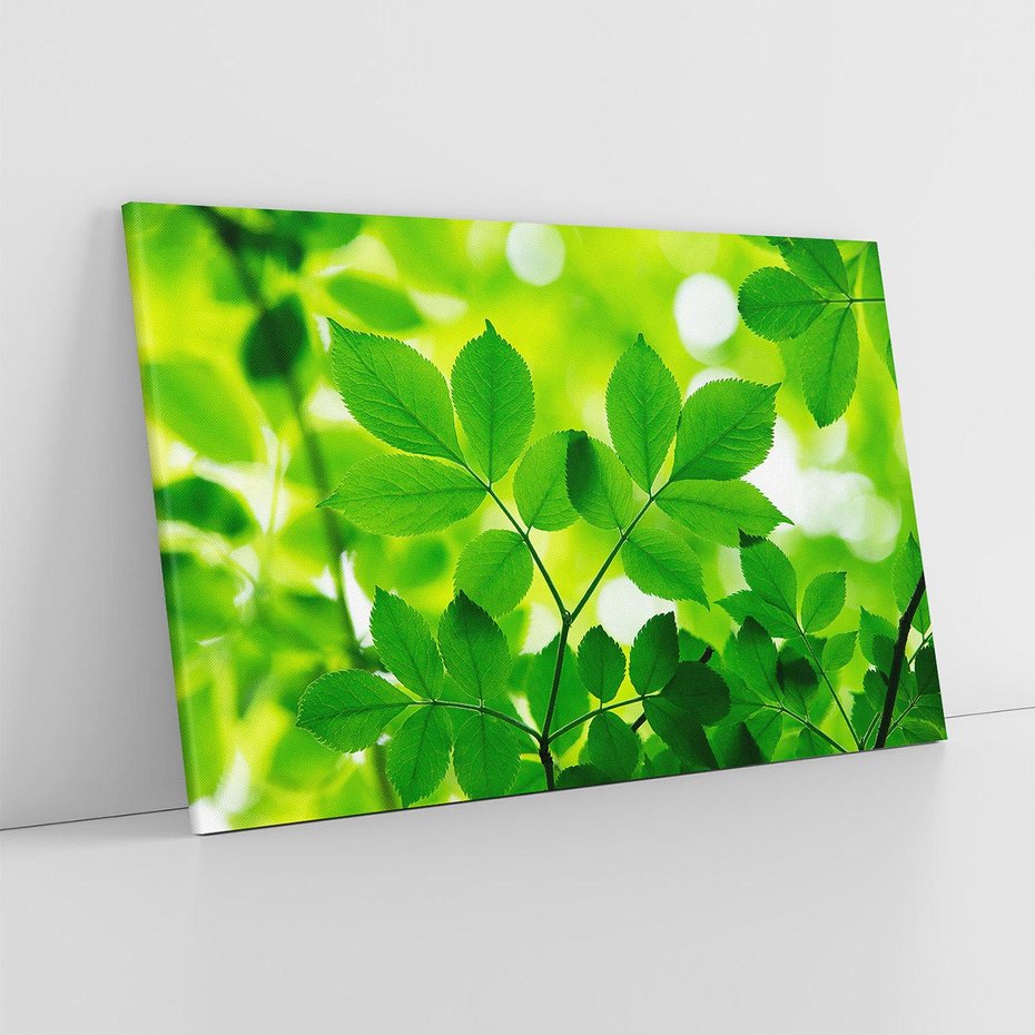 Obraz na płótnie 100x70 - Magia liści - liście, drzewo