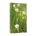 Obraz na płótnie 70x100 - Kolorowa łąka - stokrotki, łąka