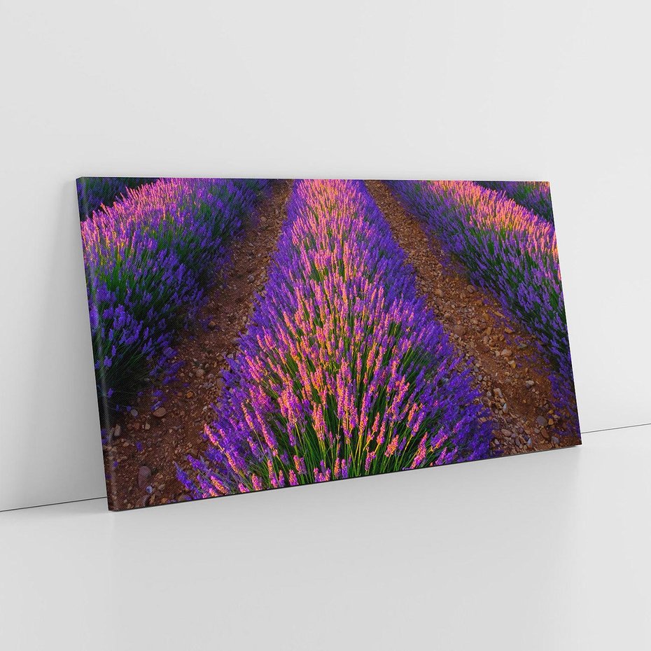 Obraz na płótnie 120x60 - Fioletowa Magia - pole, lawendy