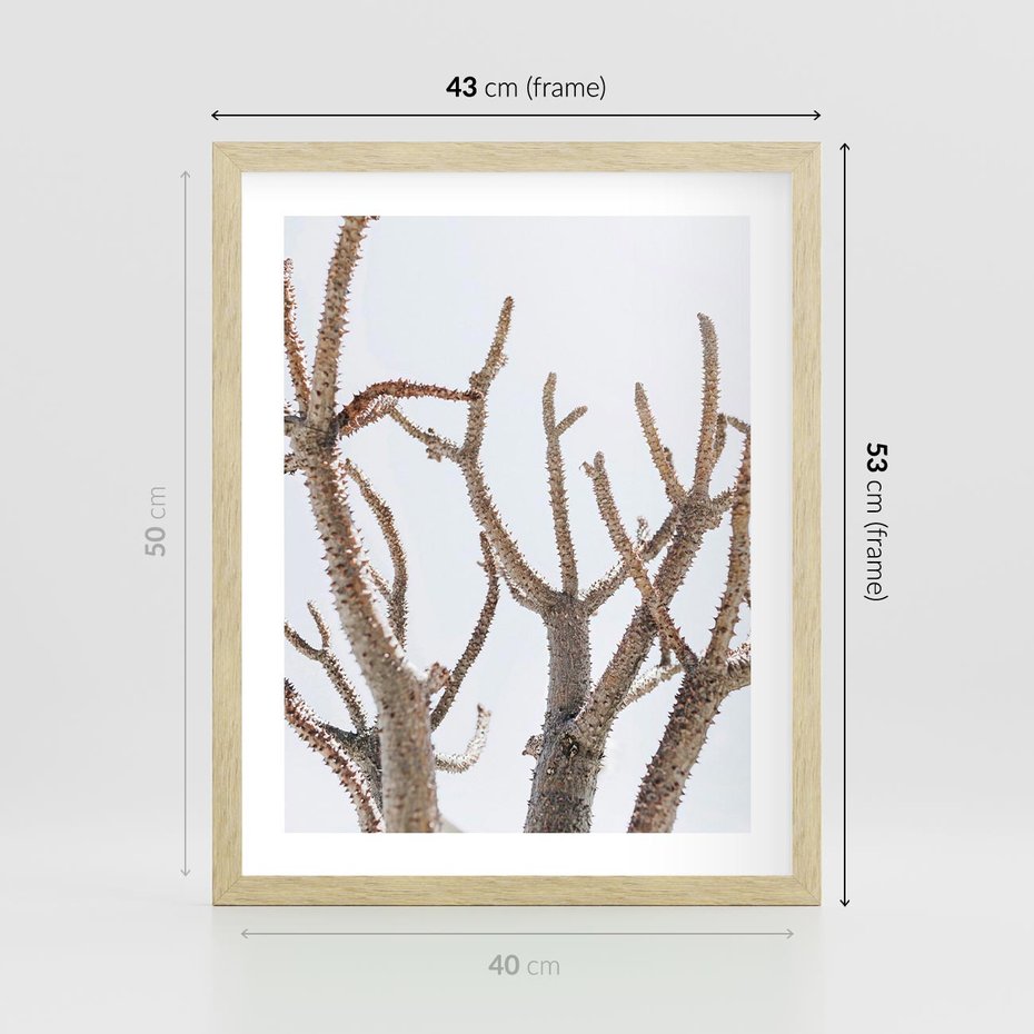 Plakat w ramie 40x50 - Pustynna Harmonia Gałęzi - pustynna roślina, suche gałęzie - rama drewno