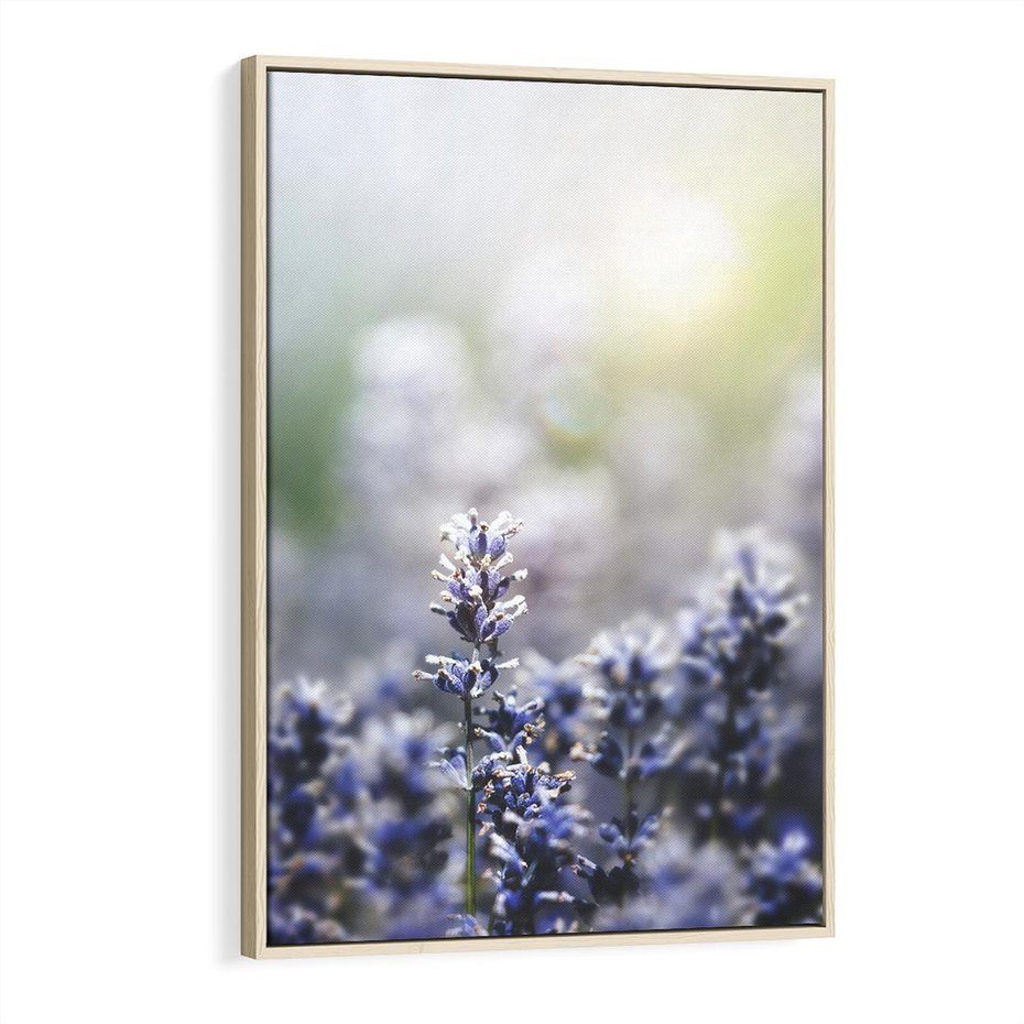Obraz w ramie 80x120 - Delikatna Uroda Natury - wrzosy, fiolet - rama drewno
