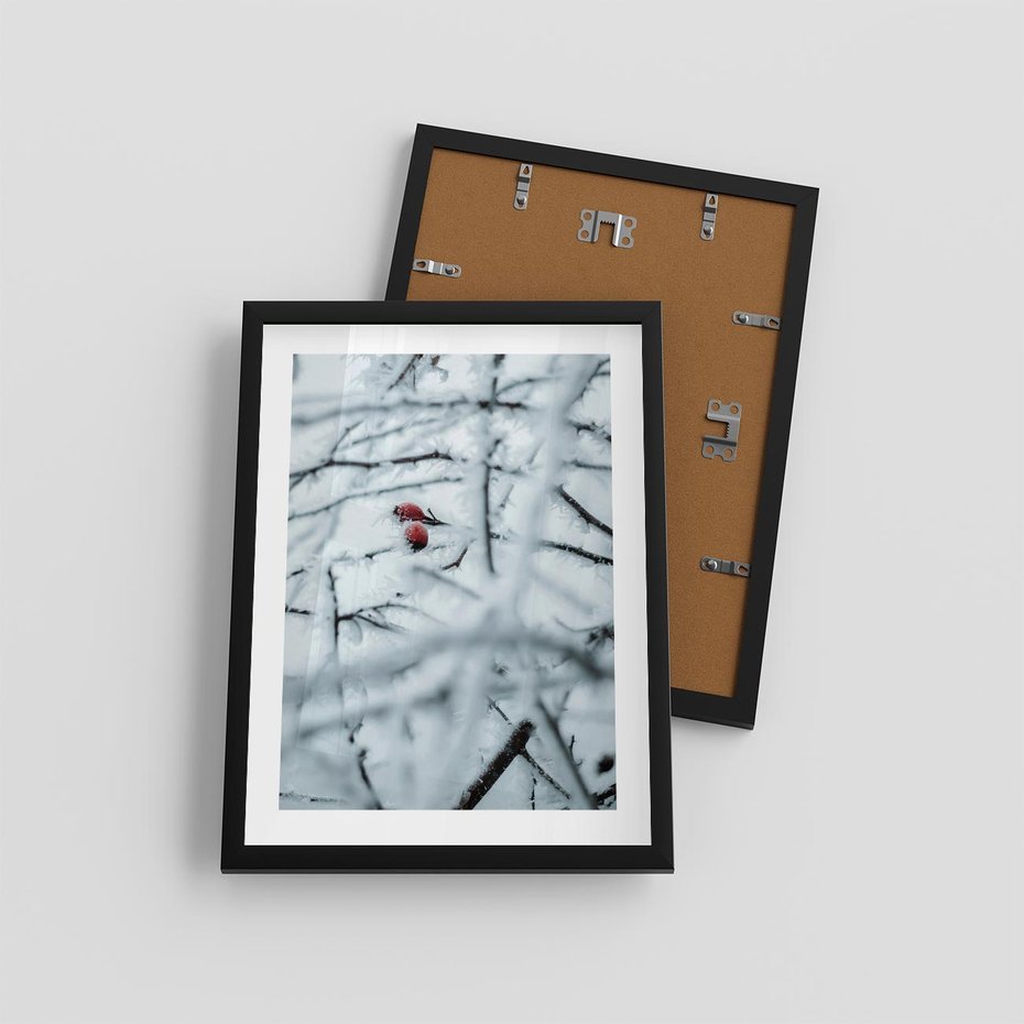 Plakat w ramie 30x40 - Zima w Detalu: Gałęzie ze Szronem i Śniegiem - śnieg, zima - rama czarna