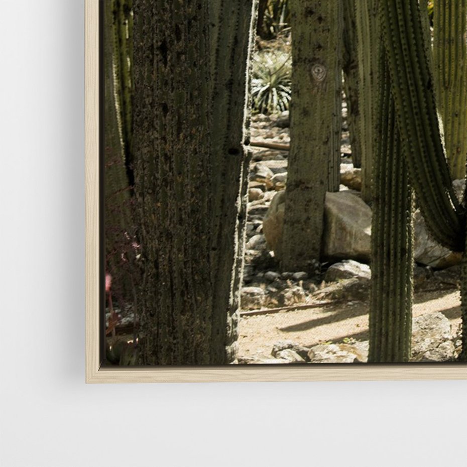 Obraz w ramie 80x120 - Wyjątkowy Klimat Boho - kaktusy, pustynia - rama drewno