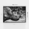 Obraz w ramie 70x50 - Potęga Afryki - czarno biała fotografia, zbliżenie na postać nosorożca - rama czarna