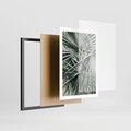 Plakat w ramie 50x70 - Palmy w Zgaszonej Zieleni - palmy, tropikalne liście - rama czarna