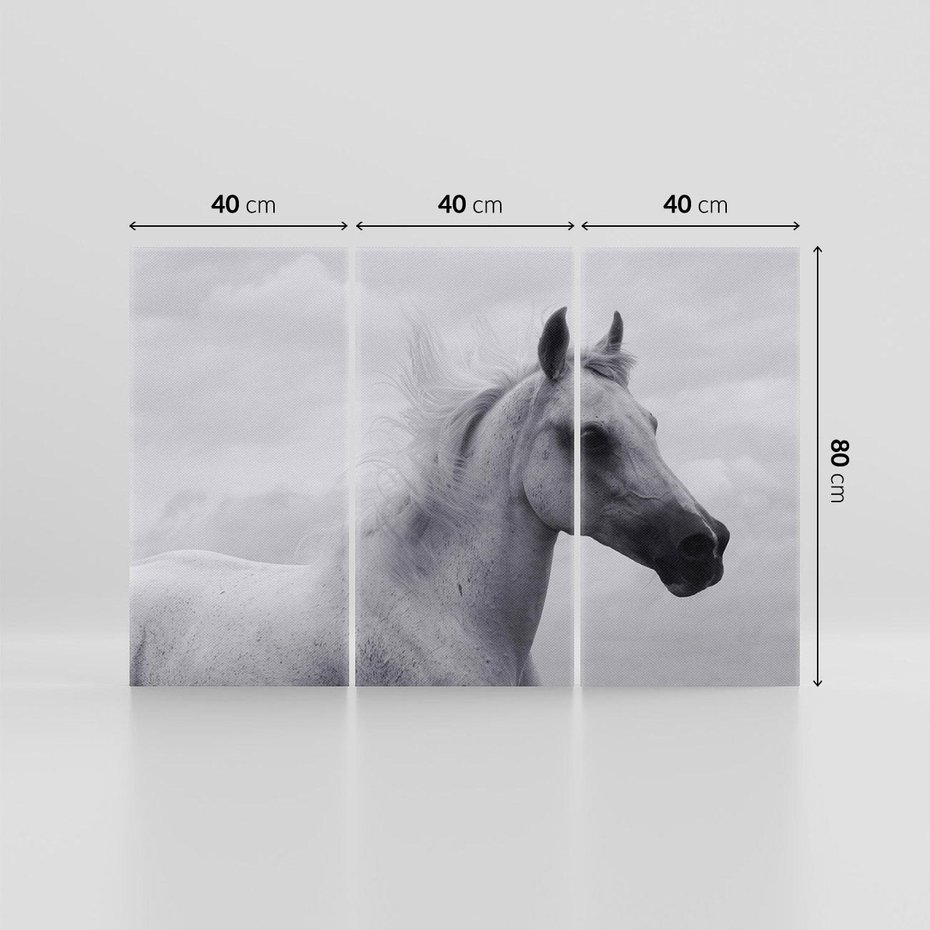 Obraz na płótnie 120x80 - Moc i Wolność - czarno biała fotografia, biały