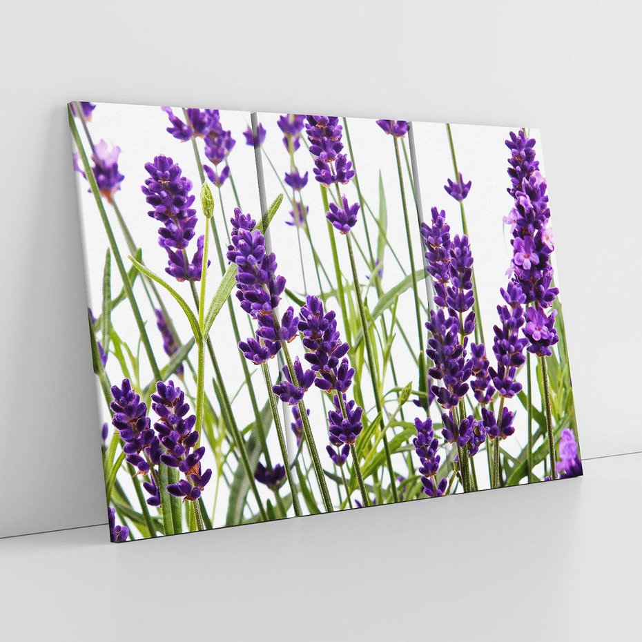 Obraz na płótnie 120x80 - Fioletowa harmonia lawendy - lawenda, fiolet