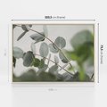 Obraz w ramie 100x70 - Liście eukaliptusa w naturze - eukaliptus, liście - rama drewno