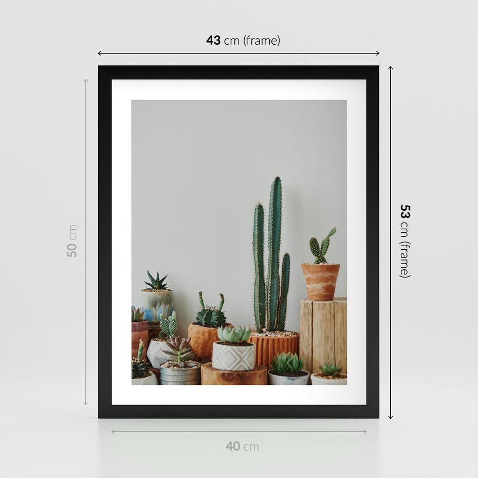 Plakat w ramie 40x50 - Naturalna Harmonia - kaktusy, liście - rama czarna
