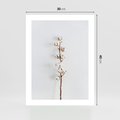 Plakat bez ramy 30x40 - Minimalistyczna Gałązka Bawełny - bawełna, gałązka bawełny