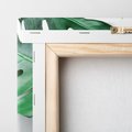 Obraz na płótnie 60x60 - Monstera - Liście Kwiaty - monstera, liście