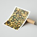 Plakat bez ramy 40x50 - Świeżość Cytrusów - cytryny, limonki