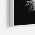 Obraz w ramie 70x50 - Delikatność Wiatru - dmuchawce, makro - rama biała