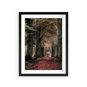 Plakat w ramie 50x70 - Spacer po Leśnej Drodze - ścieżka w lesie, jesień suche liście - rama czarna