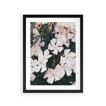 Plakat w ramie 30x40 - Egzotyczna Uroda - białe kwiaty, tropikalne kwiaty - rama czarna