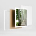 Plakat w ramie 40x50 - Spacer ścieżką przez brzozowy las - las, ścieżka - rama biała