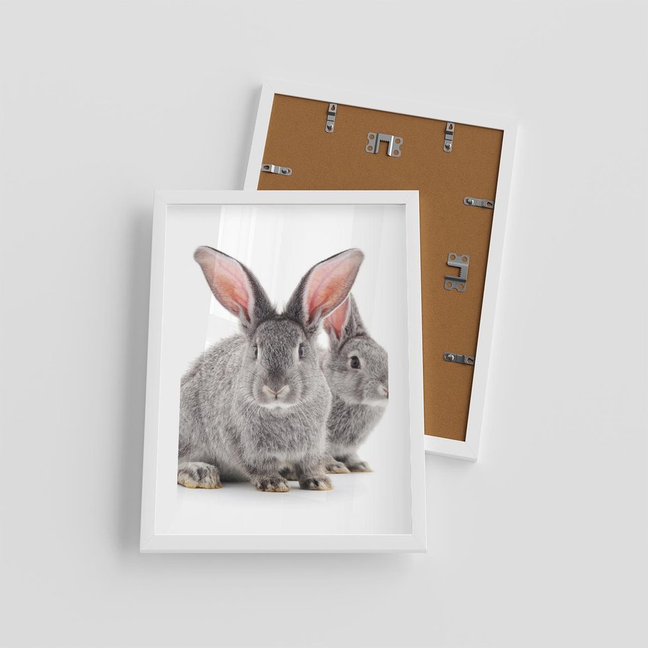 Plakat w ramie 30x40 - Uroczy królik wśród natury - królik, zając - rama biała