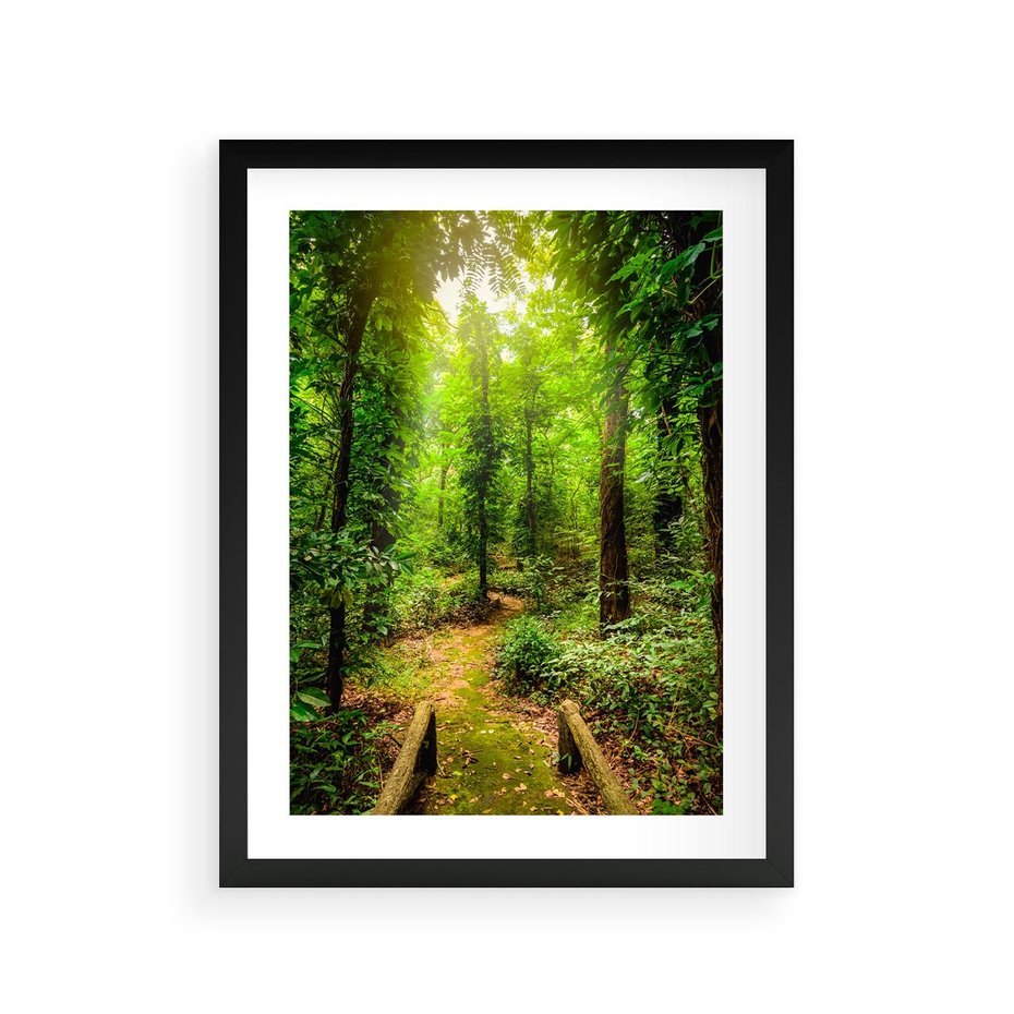 Plakat w ramie 30x40 - Współistnienie z naturą - drzewa, las - rama czarna