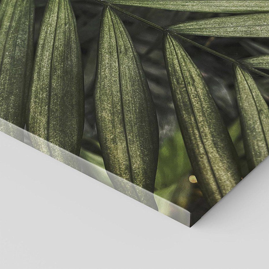 Obraz na płótnie 70x70 - W Liściach Ukryte - zdjęcie, fotografia