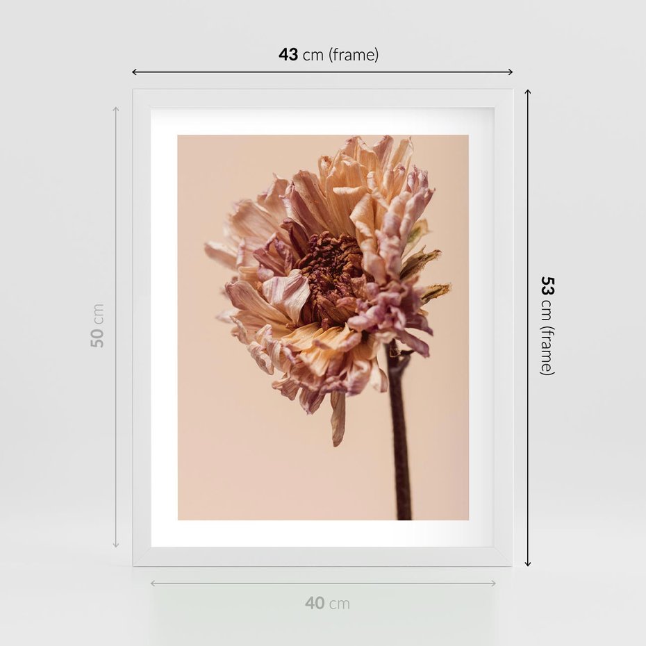 Plakat w ramie 40x50 - Delikatne piękno - suche, kwiaty - rama biała