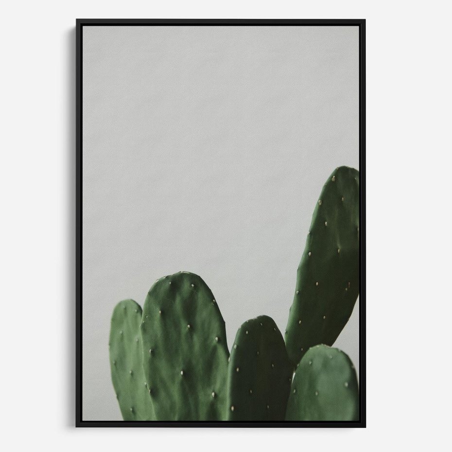 Obraz w ramie 70x100 - Majestatyczne Wysokości - kaktusy, liście - rama czarna