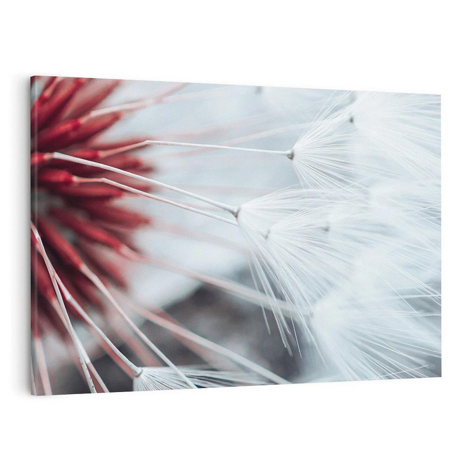 Obraz na płótnie 100x70 - Makro świat dmuchawca - dmuchawiec, makro