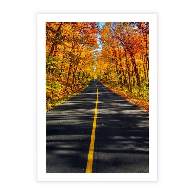 Plakat bez ramy 30x40 - Droga przez jesienny las - droga, las