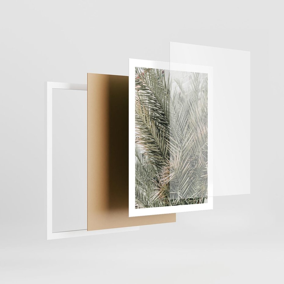 Plakat w ramie 50x70 - Egzotyczny Świat Palm - palmy, liście palmy - rama biała