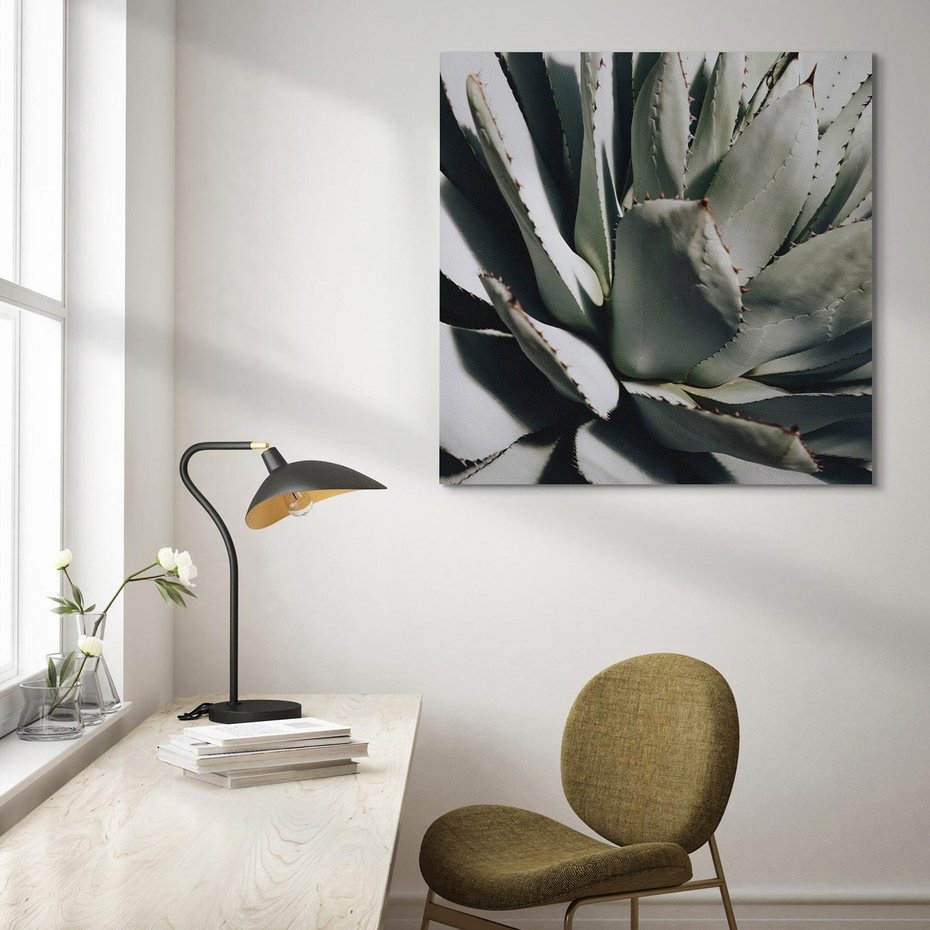 Obraz na płótnie 40x40 - Sukulenty wśród kaktusów - sukulenty, kaktusy