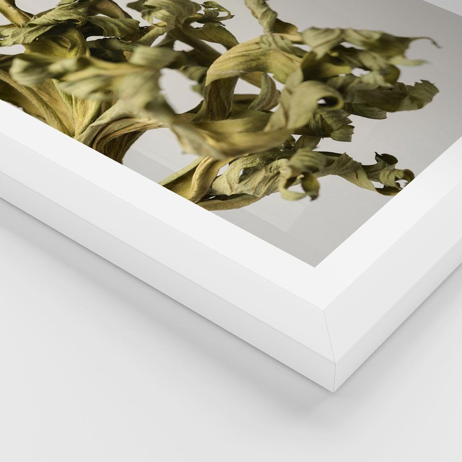 Plakat w ramie 30x40 - Odejście pory deszczowej - suche, trawy - rama biała