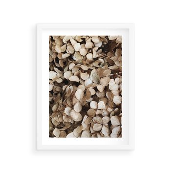 Plakat w ramie 50x70 - Delikatność Hortensji: Kompozycja Kwiatów w Beżu - hortensja, odcienie beżu - rama biała