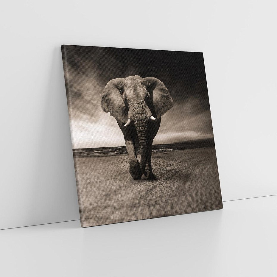 Obraz na płótnie 80x80 - Słoń - Wielki Przyjaciel Morza - słoń, plaża