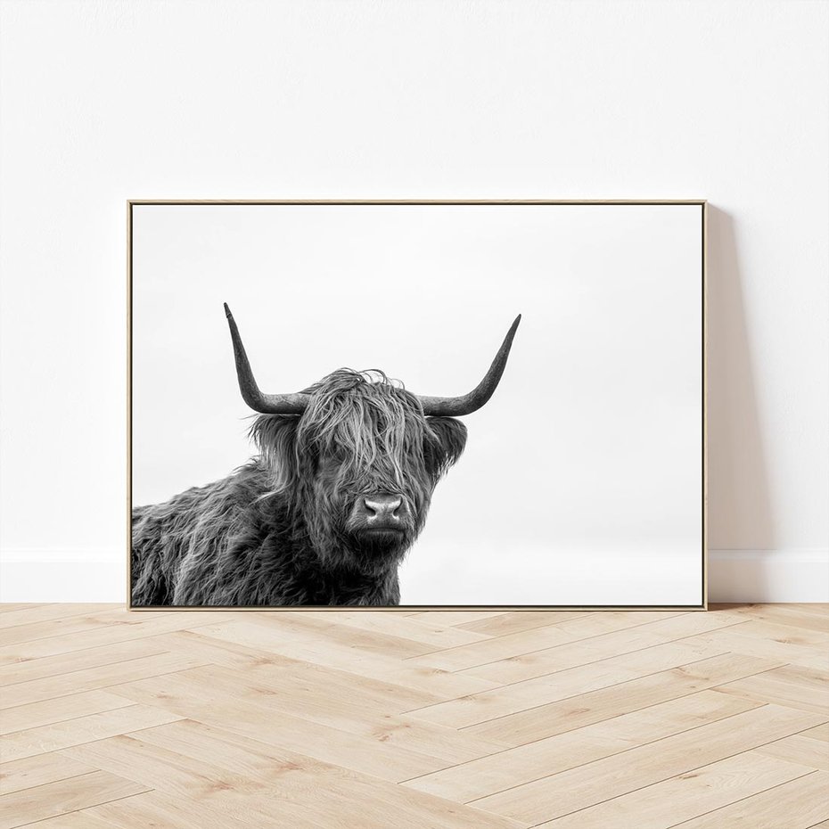 Obraz w ramie 70x50 - Moc i Spokój - amerykańskie bydło, byk - rama drewno